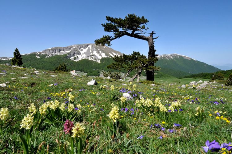 Parchi e riserve in Italia: un bene da tutelare, per l’ambiente e per l’economia