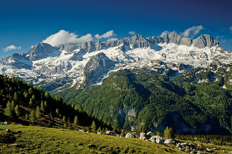 Prealpi Giulie Monte Canin 