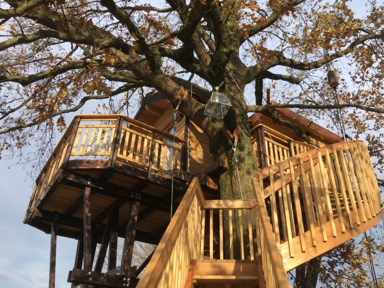 Sullalbero: Relais Tenuta il Cigno Treehouse