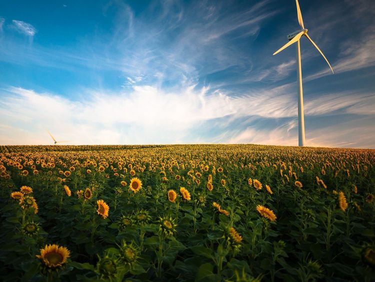 Cambiamento climatico: intensificare subito l'azione per salvare il pianeta