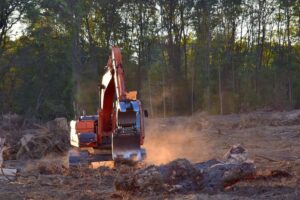 Allarme deforestazione: dal 2004 scomparsi 43 milioni di ettari