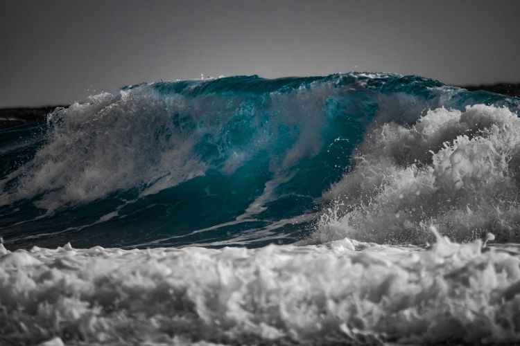 Mari e oceani, mai così caldi