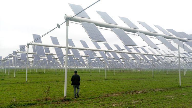 Rinnovabili: fotovoltaico in agricoltura conviene, ecco come e perché