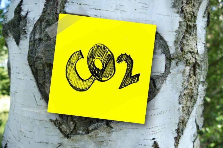 Edilizia ed emissioni di CO2