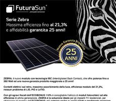 Sfrutta al meglio l’ECOBONUS con i moduli fotovoltaici Back Contact ZEBRA 2