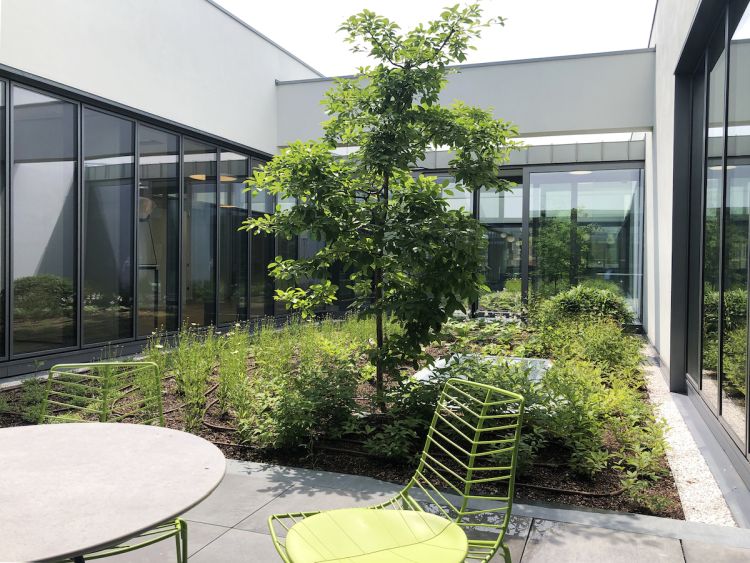 Nuova sede Zamasport: il verde parte integrante dell'architettura