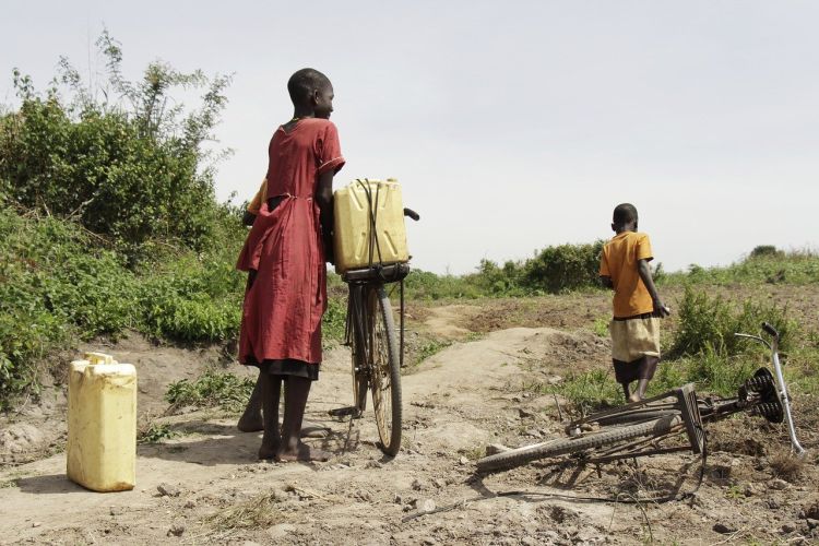 I disastri naturali in 50 anni sono triplicati. Il Rapporto FAO