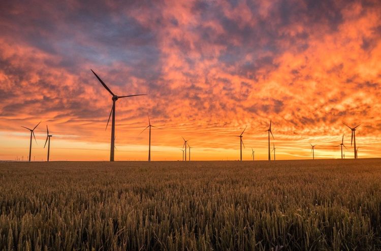 Energia eolica e neutralità climatica: necessario triplicare le installazioni nel prossimo decennio 