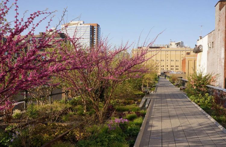 High Line di New York