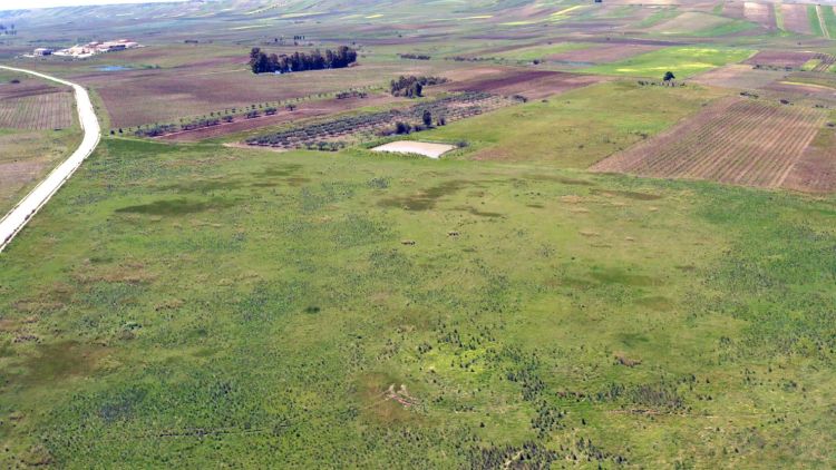 Uno dei terreni su cui sorgerà il parco agrovoltaico in Sicilia