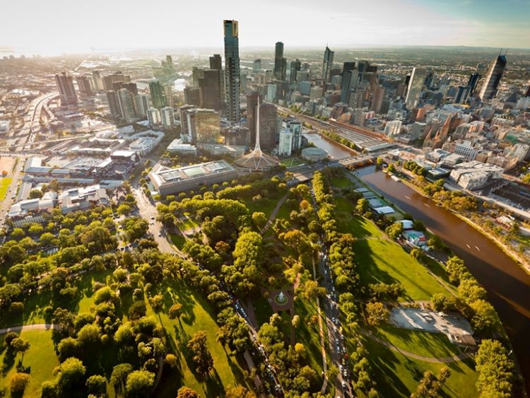 Piano strategico per la forestazione urbana a Melbourne