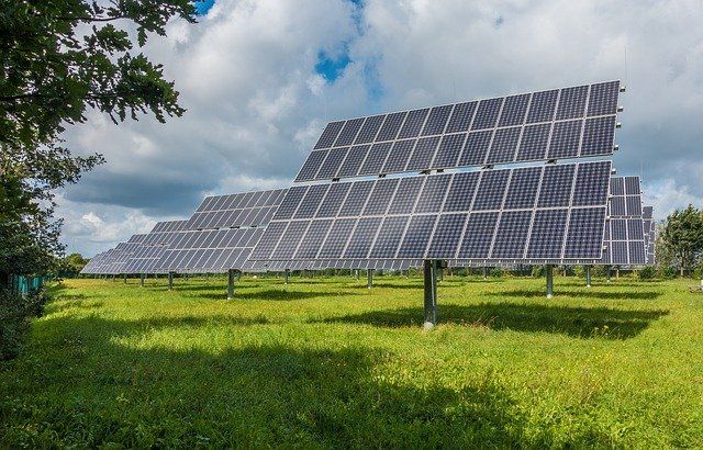 Fotovoltaico e biodiversità: 10 consigli per tutelare rinnovabili e ambiente