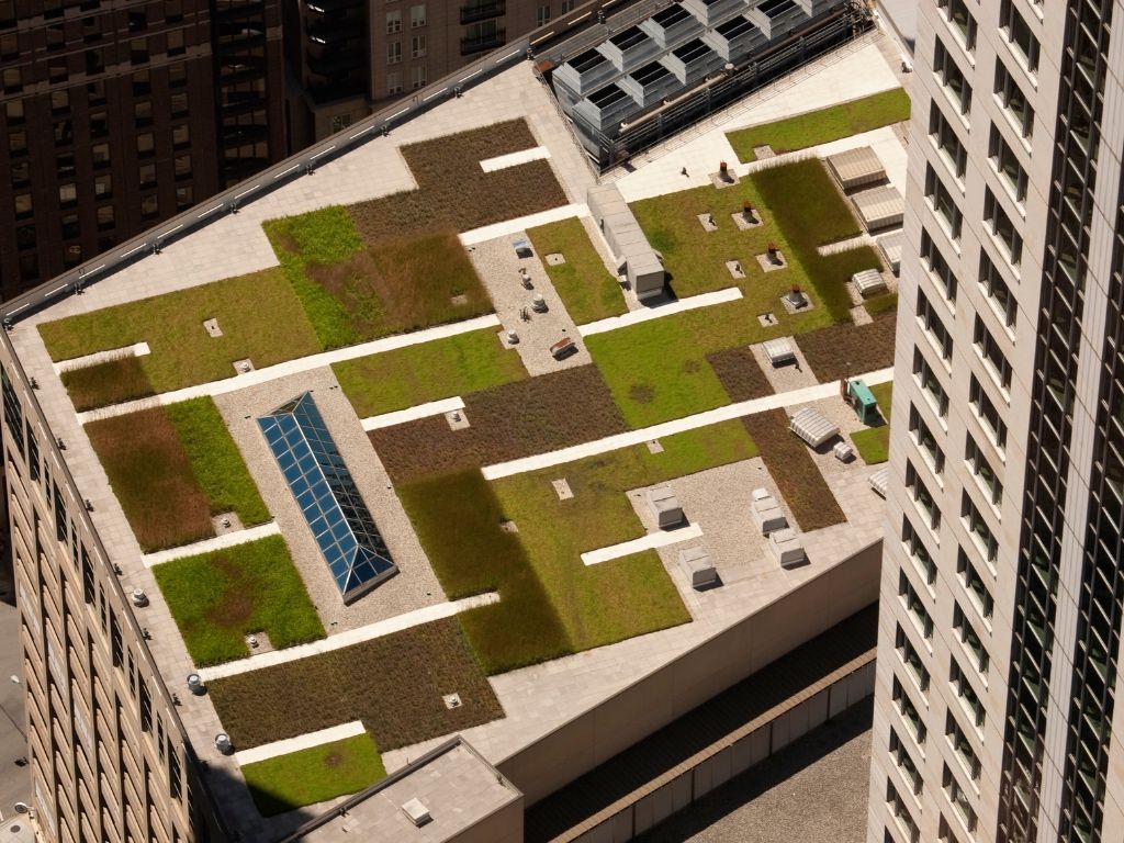 I vantaggi del tetto verde integrato con il fotovoltaico