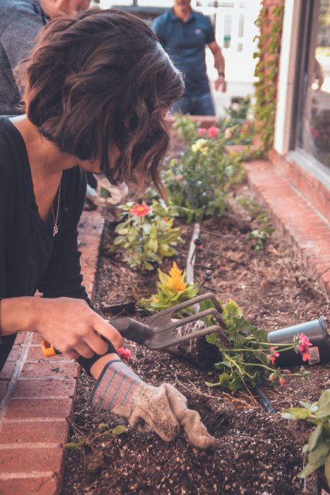 Guerrilla gardening: che cos’è?