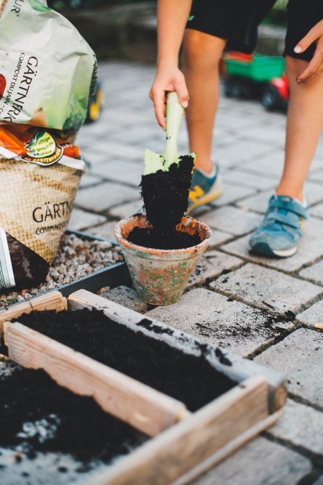 guerrilla gardening: quando la rivoluzione si fa con i fiori