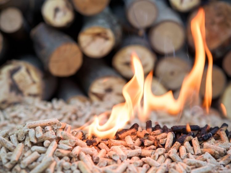 Le caldaie a biomassa per non usare il gas in casa