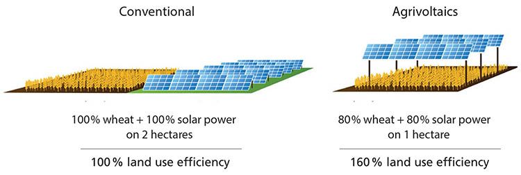 Agrivoltaico: migliora la produzione di energia rinnovabile rispetto al fotovoltaico tradizionale