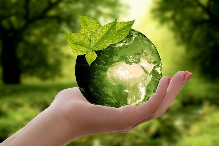 Approvate, nell'ambito dei decreti legislativi di attuazione di norme europee, due norme per l'ambiente: riduzione incidenza plastica e promozione rinnovabili.