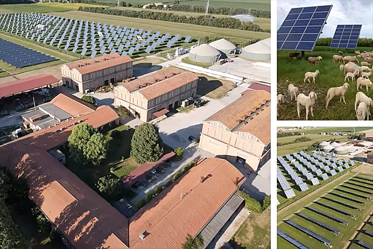 Agrivoltaico, l'esempio dell'Azienda agricola S. Anna e della Tenuta di Bagnol