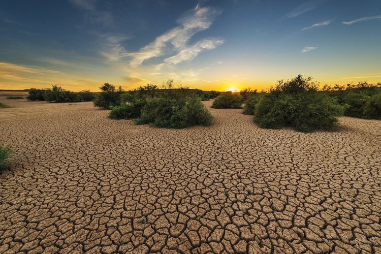 In 50 anni aumentati di 5 volte i disastri legati al clima