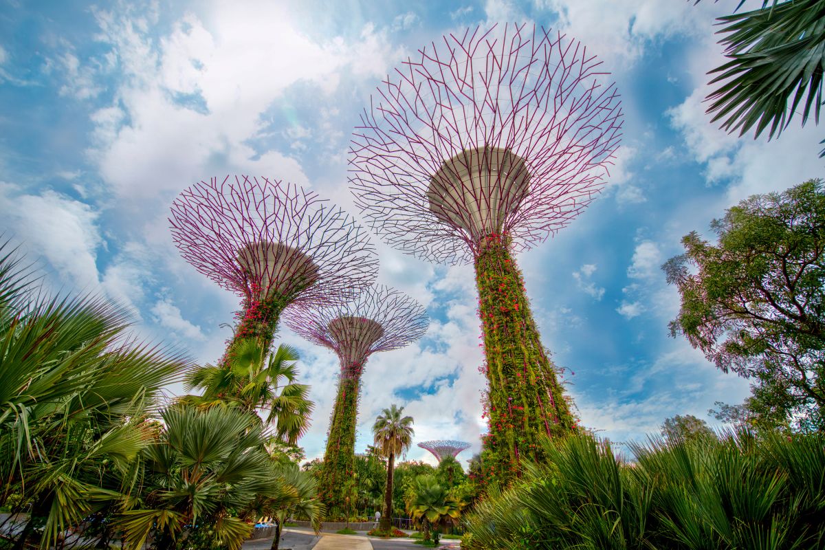 Parchi urbani, Gardens by the bay a Singapore