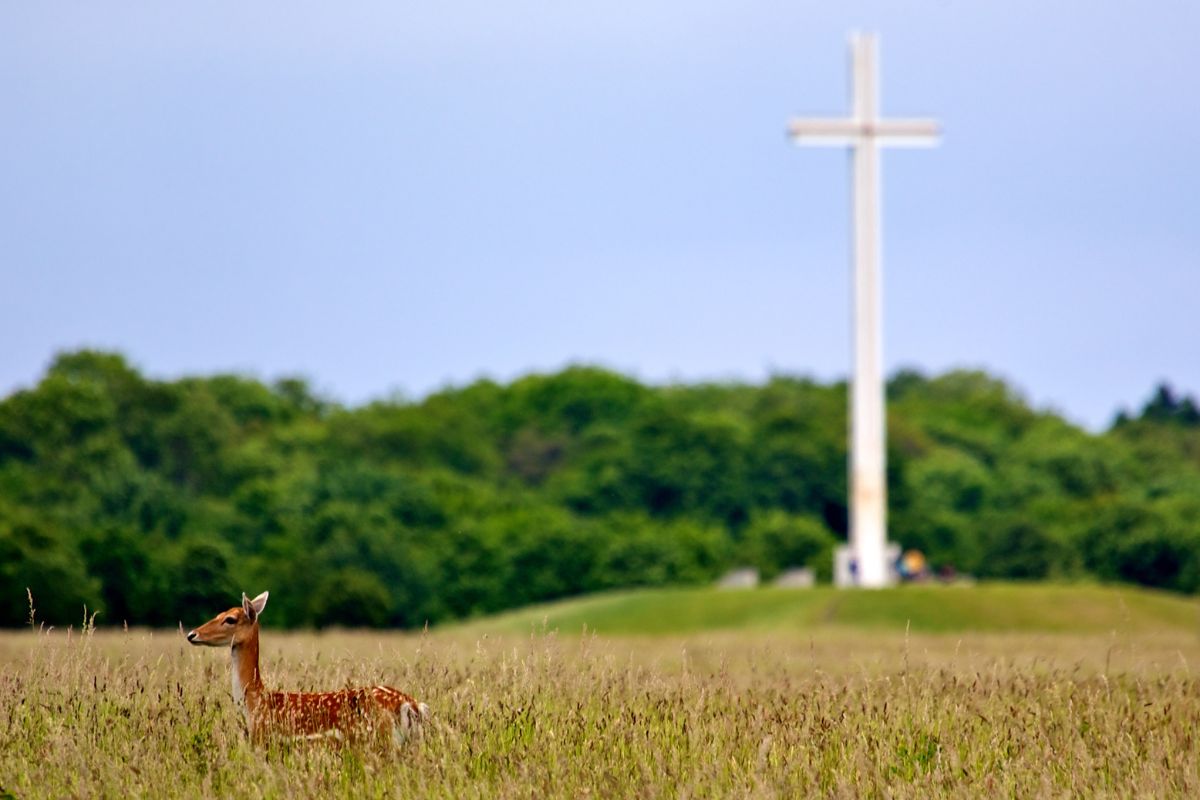 Parchi urbani, Phoenix Park a Dublino