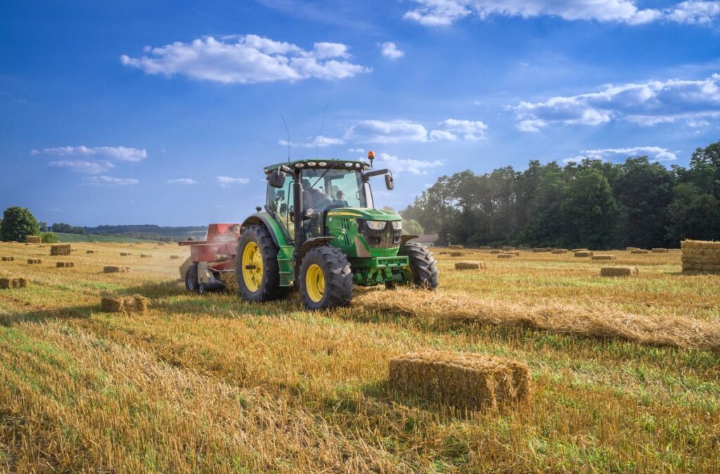 Giornata mondiale alimentazione: Perché è necessario parlare di sistema agroalimentare nel 2021?  