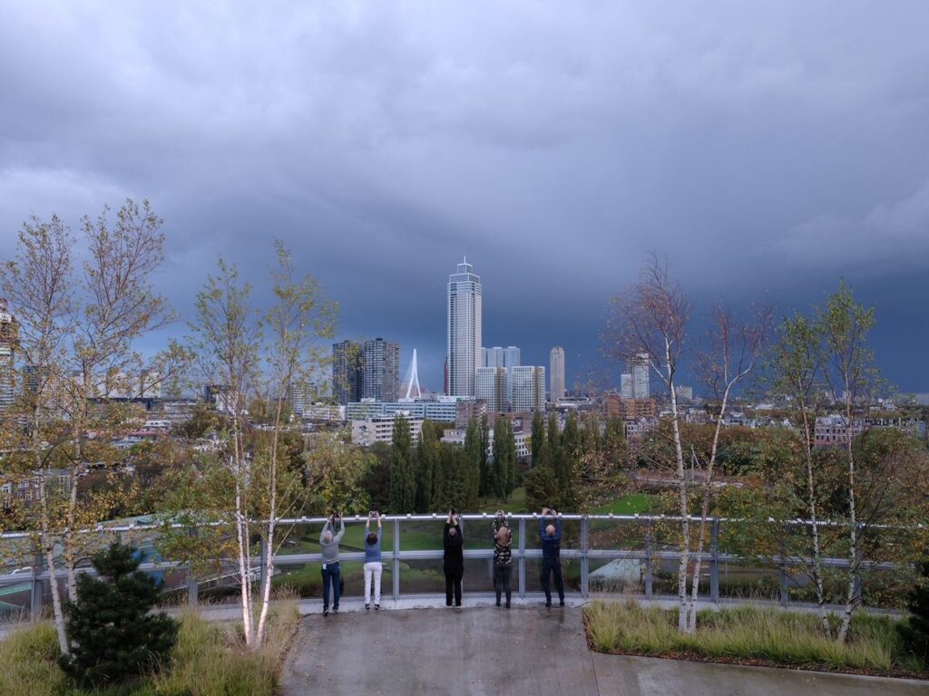 La vista sulla città di Rotterdam dal tetto-foresta del museo DepotBoijmans Van Beuningen