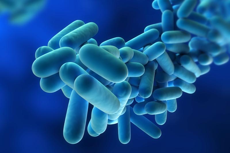 Come prevenire la legionella con le soluzioni Hoval