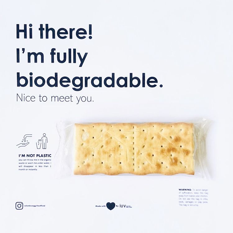 Packaging sostenibile: piace l’idea italiana per gli imballaggi biodegradabili
