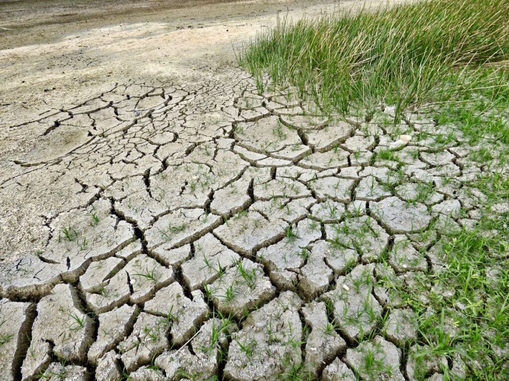 il cambiamento climatico impatta sulla resa agricola dei territori