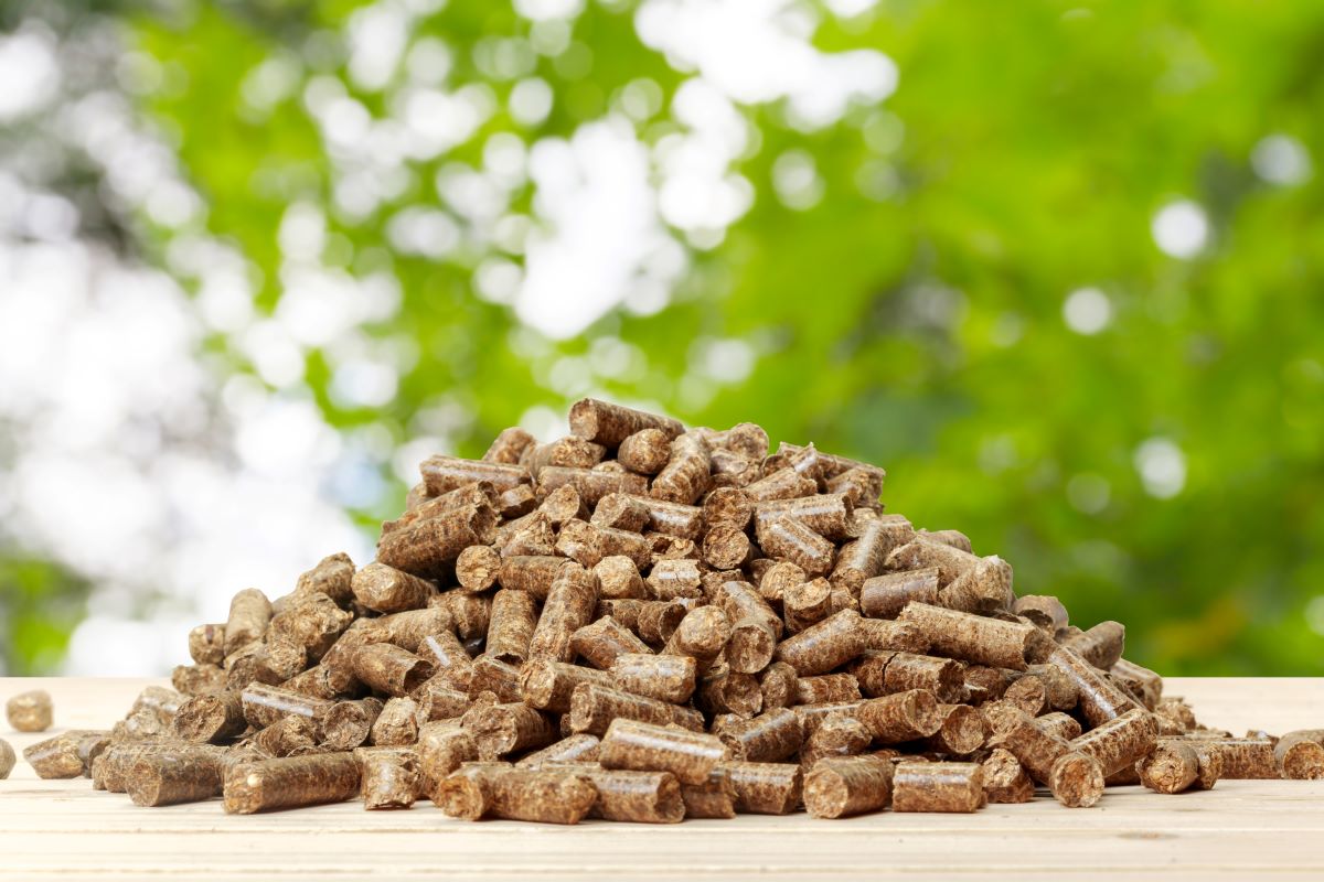 Caldaie a pellet? Guida al riscaldamento ecologico