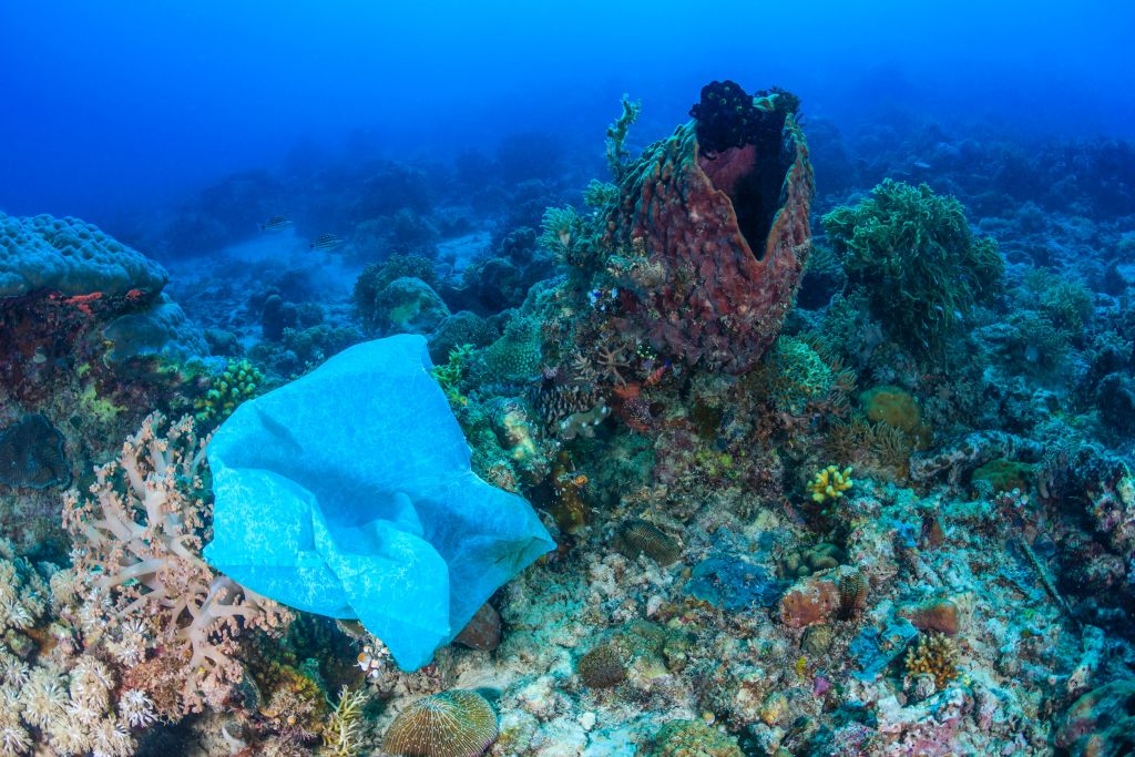 Rivitalizzare mari e oceani