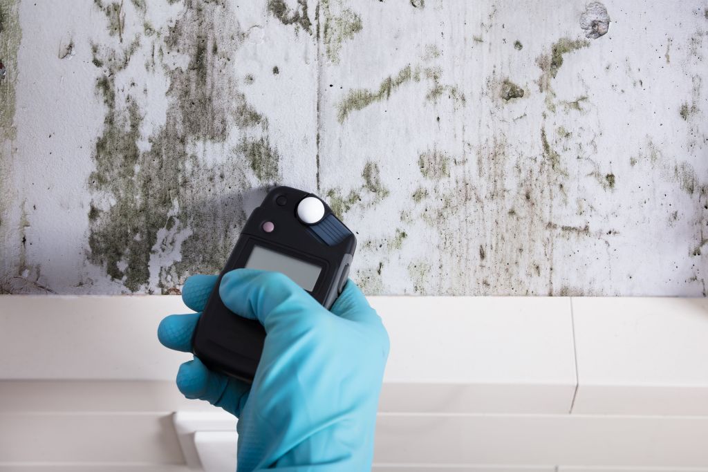 Perché si forma umidità in casa e come eliminare la muffa
