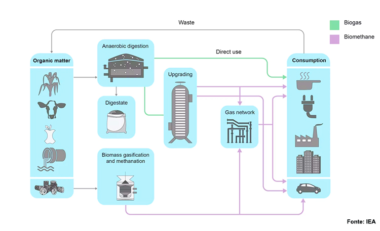 Processo di realizzazione biogas e biometano