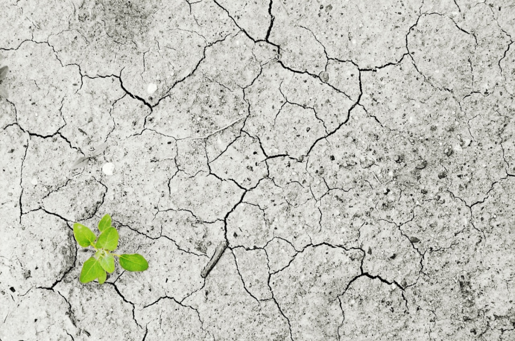 Il cambiamento climatico minaccia la sopravvivenza del pianeta