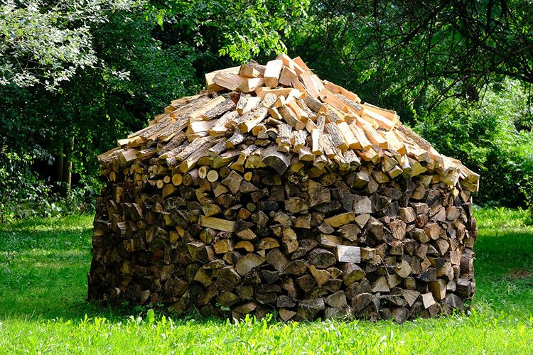 Energia da biomasse: dai biocombustibili legnosi un contributo alla maggiore indipendenza