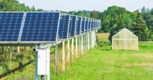 Agrivoltaico in Italia: le linee guida disegnano il fotovoltaico in agricoltura