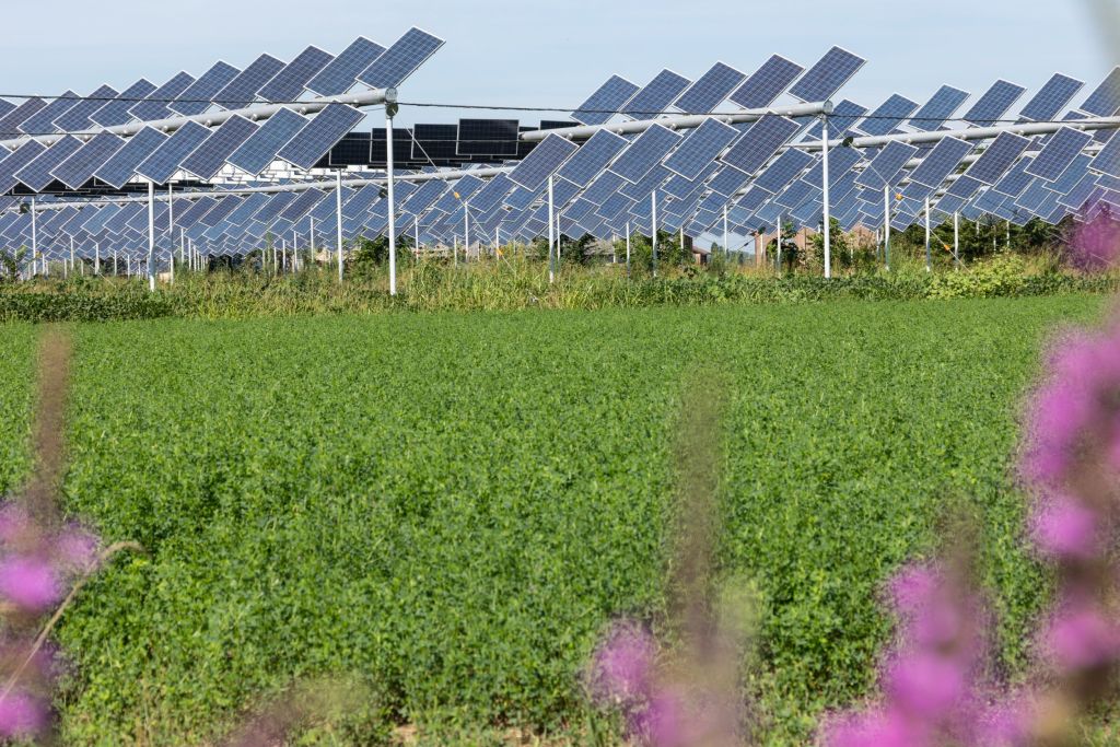 Agrivoltaico in Italia: le linee guida disegnano il fotovoltaico in agricoltura