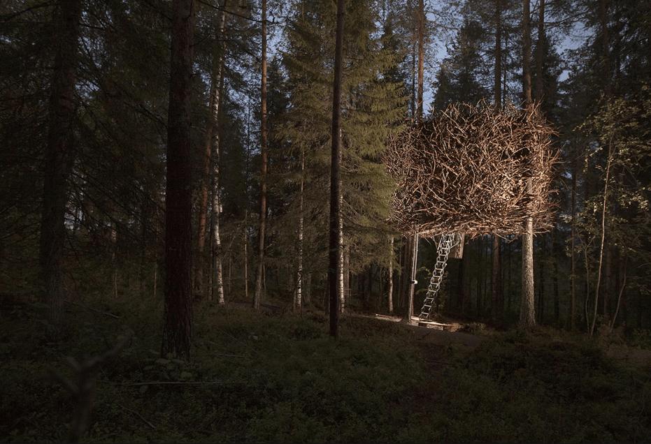 Treehotel, stanza Bird’s nest