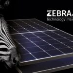 ZEBRA Pro: modulo fotovoltaico con tecnologia N-type IBC