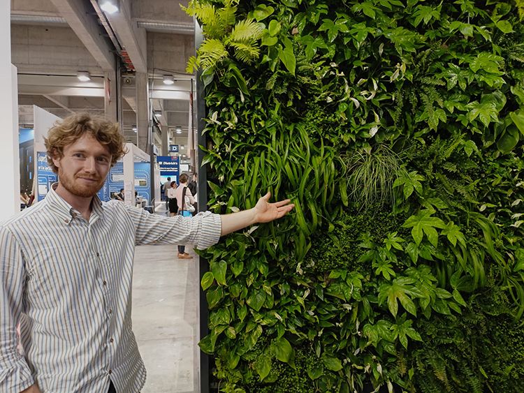 Pareti verdi outdoor e indoor: l’idea green di una giovane azienda italiana che raffresca