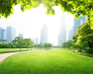 Vivere in aree con più verde migliora salute e funzioni cognitive