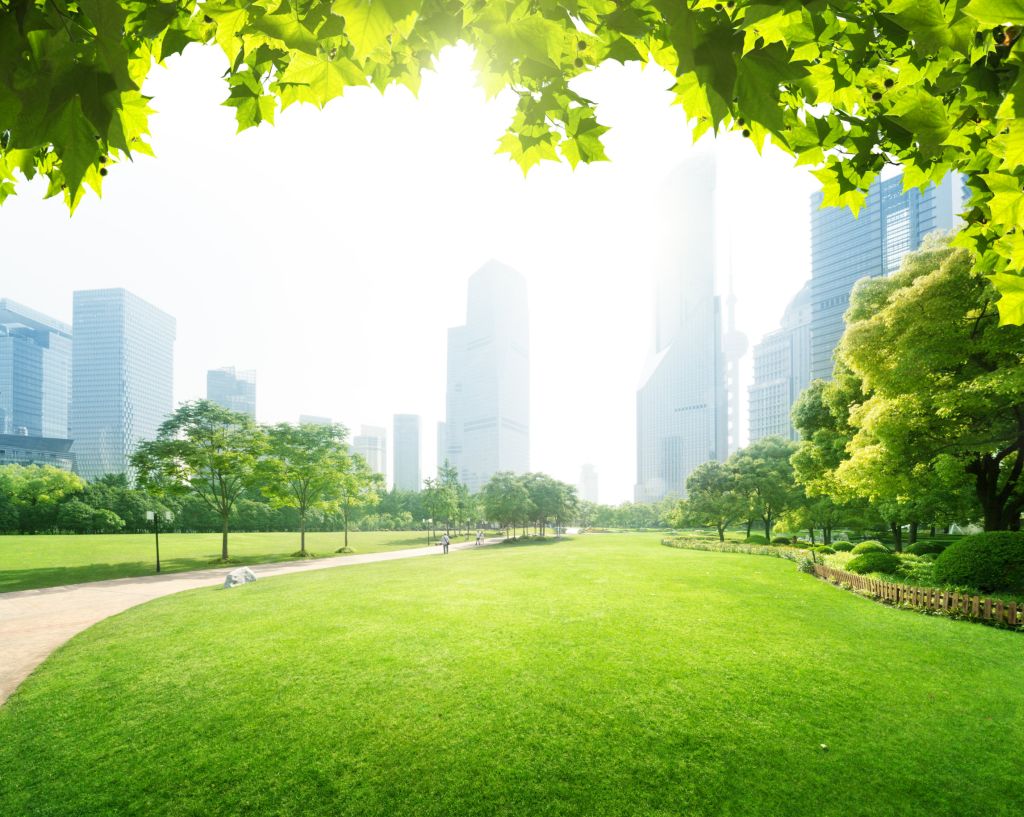 Vivere in aree con più verde migliora salute e funzioni cognitive