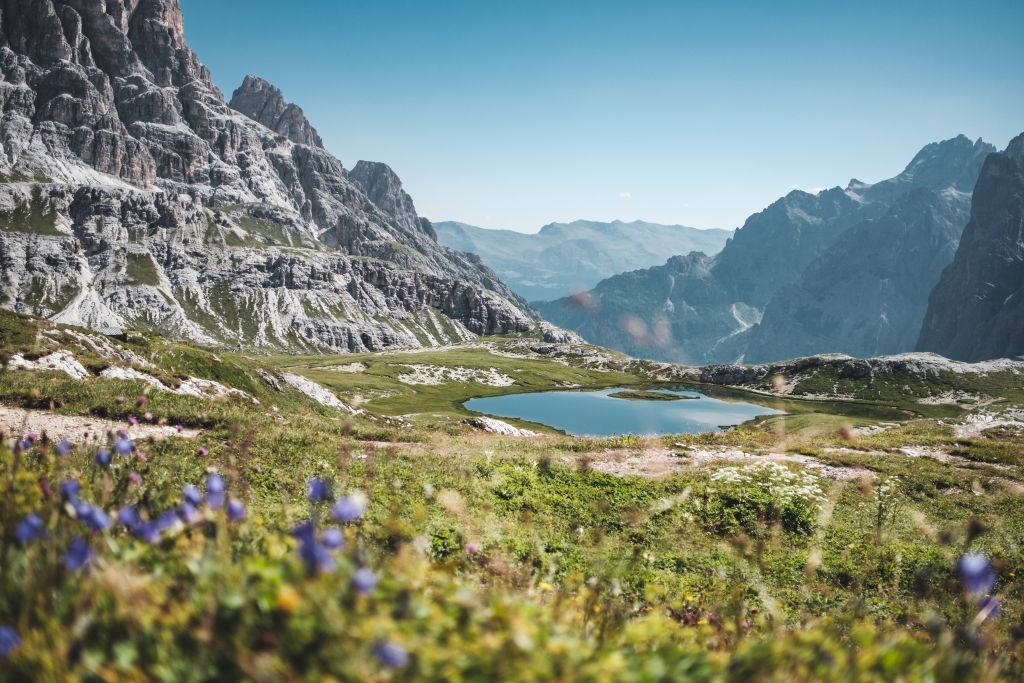 Le Alpi si coprono di verde