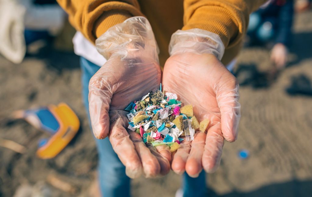 La natura libera dalla plastica, nella vita delle città la soluzione del Wwf