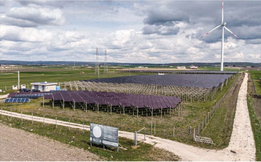 Agrivoltaico e sostenibilità: in Puglia si fa la storia e si crea comunità