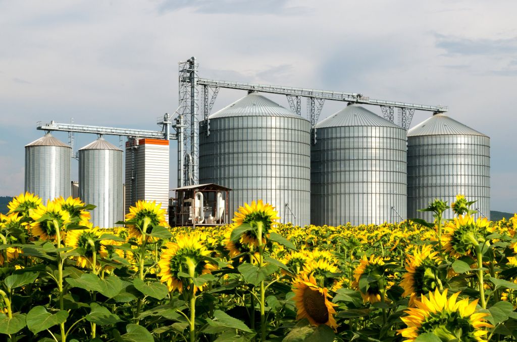 Bioeconomia, un settore in crescita in Italia