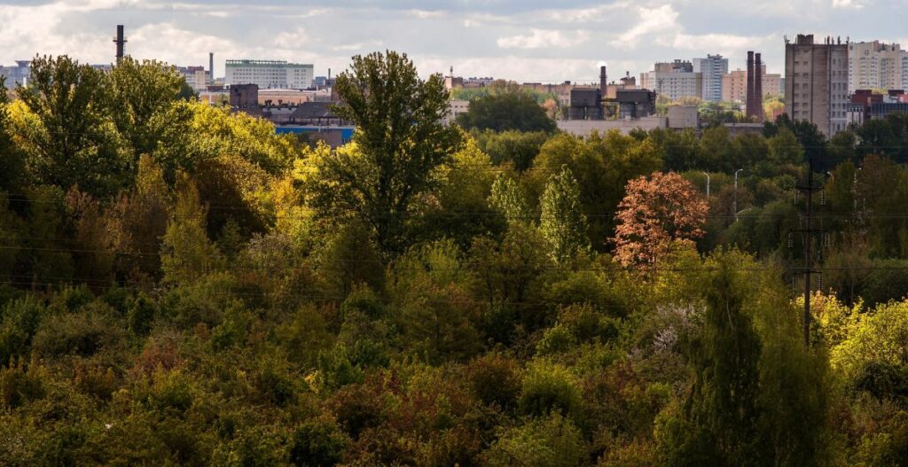 Forestazione urbana e cambiamento climatico: come le aree verdi possono trasformare le città in spazi più sostenibili