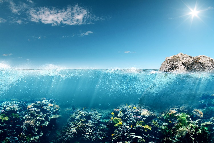 Tra cambiamento climatico e tecnologia: stampa 3D per le barriere coralline